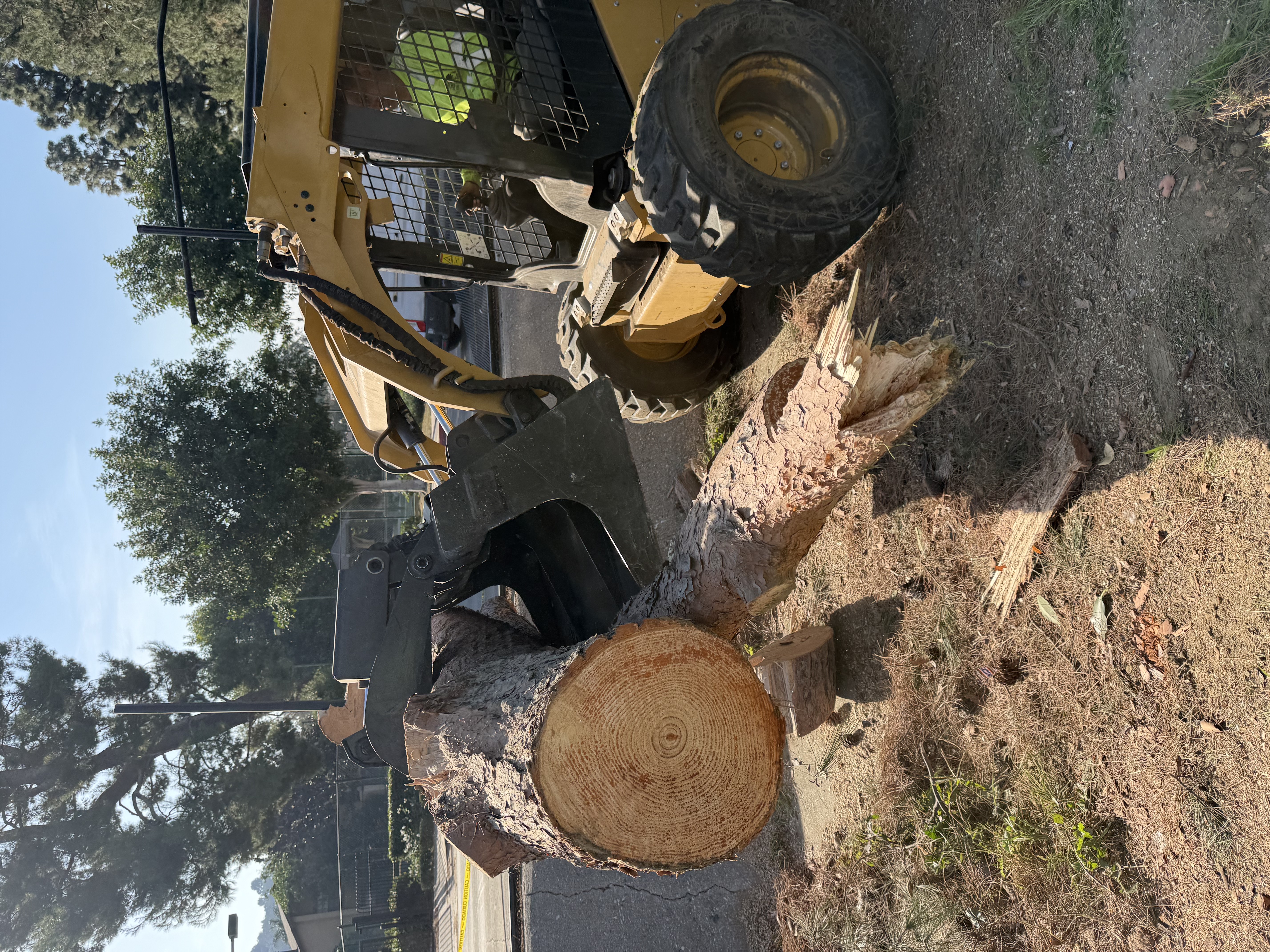 Brush & Defensible Space