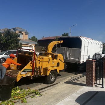 Shredder cleanup